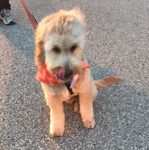 Meet your Posher, Jackie